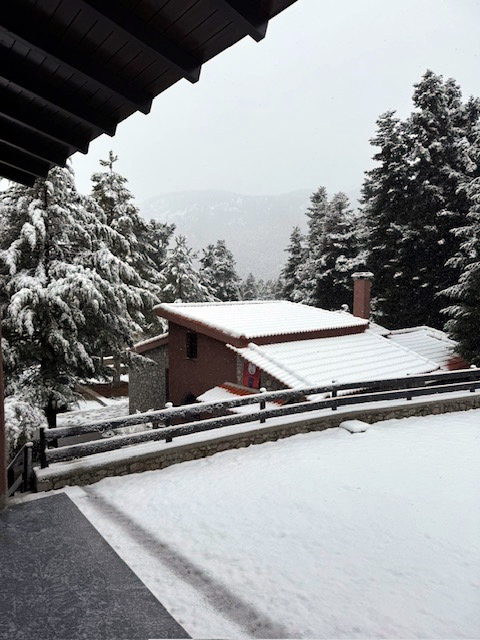 A Magical Christmas at Mount Parnassos